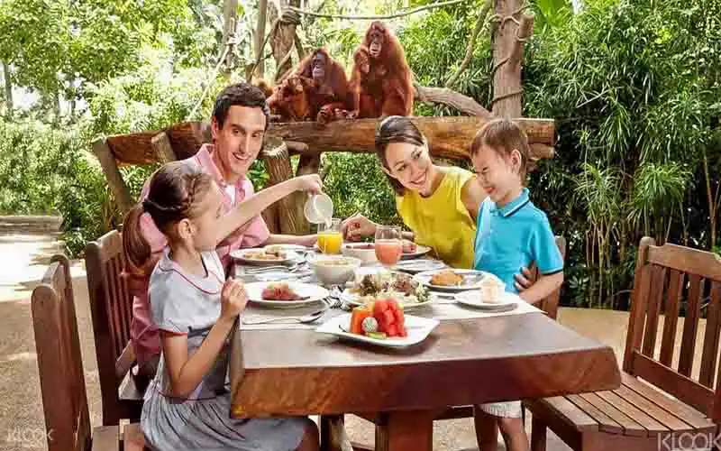 breakfast with orangutan breakfast with orangutan